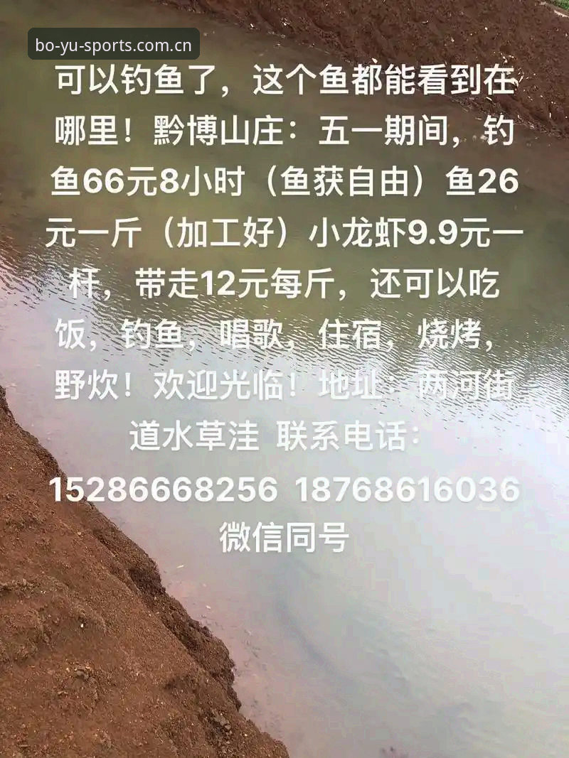 从手机卡顿到5分钟搞定：博鱼综合体育APP安卓版下载使用的3个实用技巧